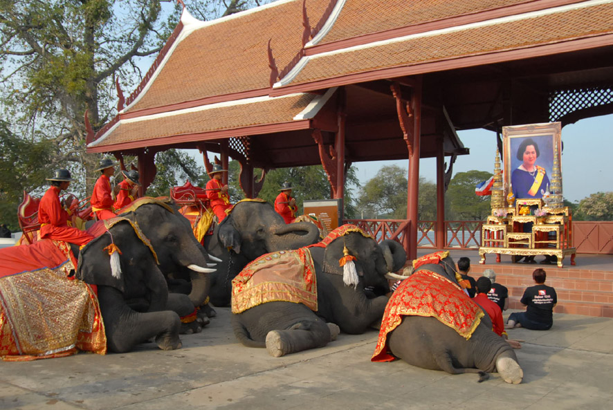 Elephant Farm